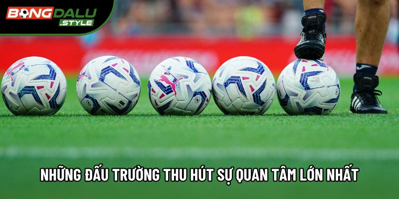 Những đấu trường thu hút sự quan tâm lớn nhất